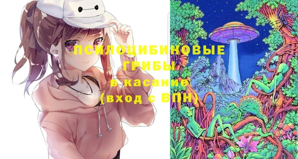 винт Баксан