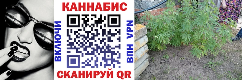 Бошки марихуана AK-47  Вуктыл 